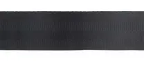 Polyester Webbing 2" Style P341